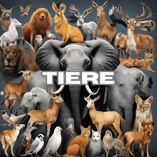 Tiere